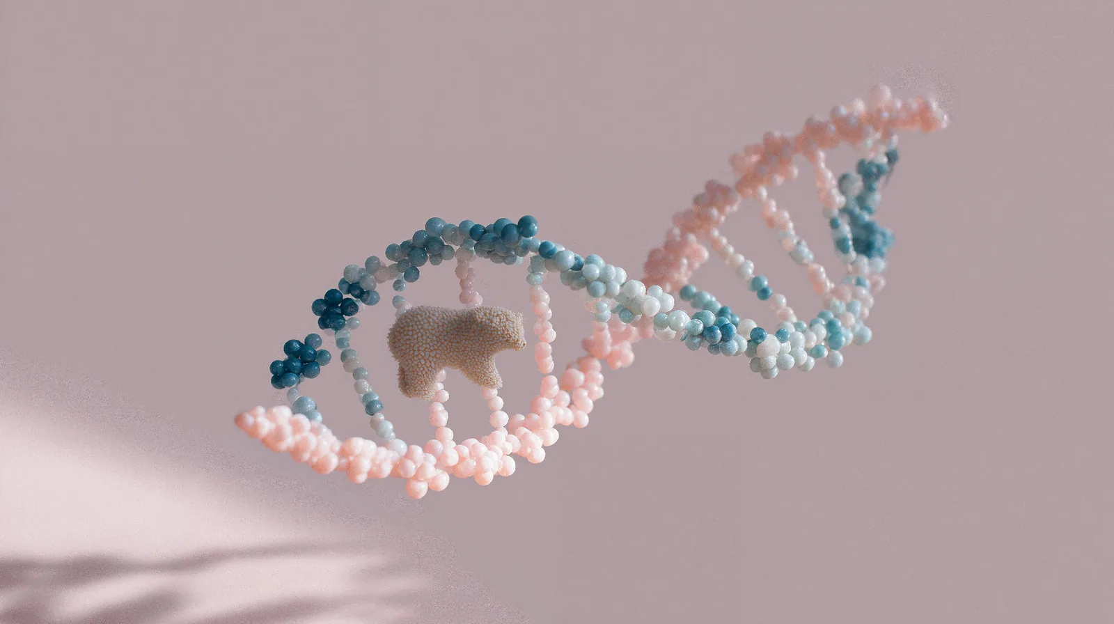 Stylized DNA double helix transforming into baby silhouette - genetics and heredity concept